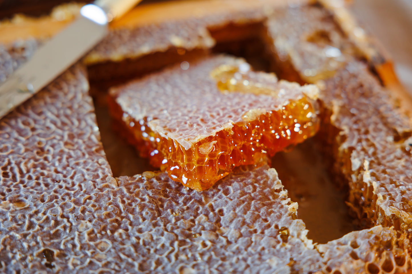 HoneyComb 200g- 250g tray