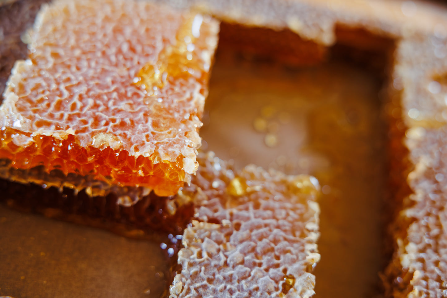 HoneyComb 200g- 250g tray